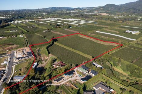 Photo of property in 81 Dunlop Road, Te Puke, 3119