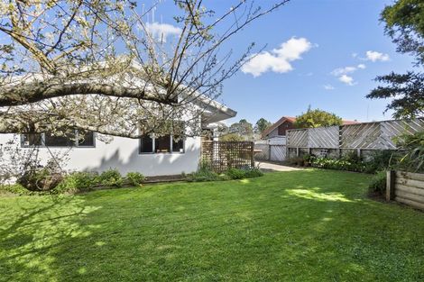 Photo of property in 51 Splitt Avenue, Glenview, Hamilton, 3206