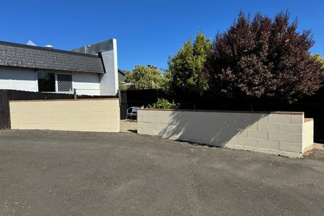 Photo of property in 161a Eglinton Road, Mornington, Dunedin, 9011