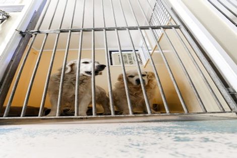 Photo of property in 207 Roberts Avenue, Aramoho, Whanganui, 4584