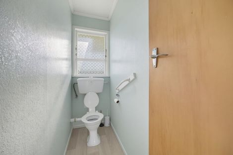 Photo of property in 149 Winchester Street, Levin, 5510