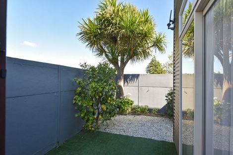 Photo of property in 32c Elizabeth Street, Victoria, Rotorua, 3010