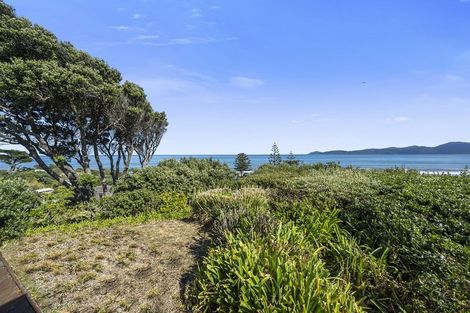 Photo of property in 55 The Esplanade, Raumati South, Paraparaumu, 5032