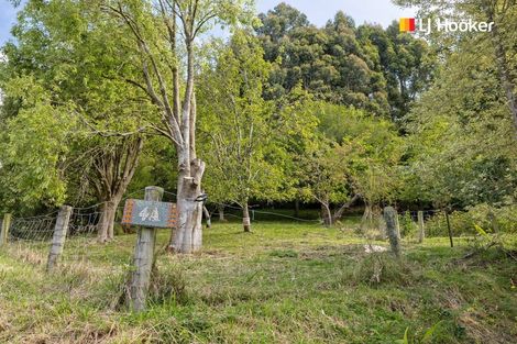 Photo of property in 4a Ronay Street, Bradford, Dunedin, 9011