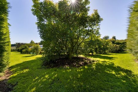 Photo of property in 526d Belk Road, Omanawa, Tauranga, 3171