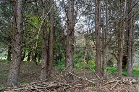 Photo of property in 86 Lindsay Road, Levin, 5510