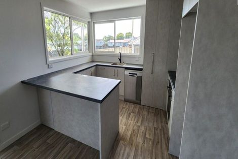Photo of property in 119a Hamlet Street, Stratford, 4332