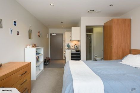 Photo of property in Dual Apartments, 108/142 Vivian Street, Te Aro, Wellington, 6011