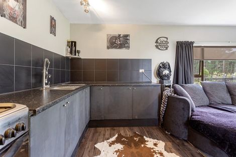 Photo of property in 317 Innes Road, Glasnevin, Amberley, 7482