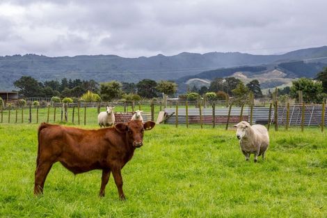 Photo of property in 327 Matarawa Road, Dalefield, Carterton, 5791