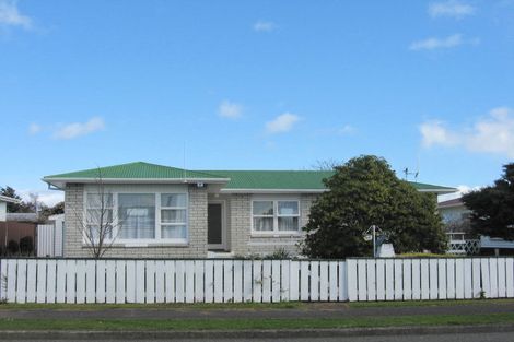 Photo of property in 16 Braemar Street, Levin, 5510