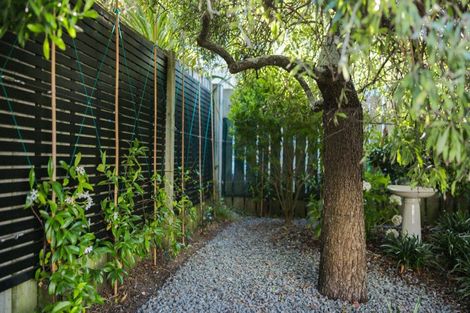 Photo of property in 14 Brighton Street, Island Bay, Wellington, 6023