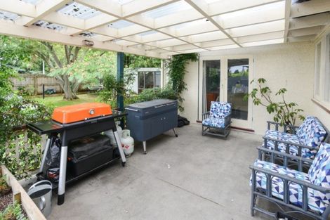 Photo of property in 251 Havelock Road, Akina, Hastings, 4122