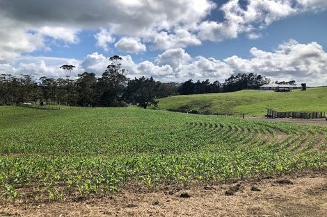 Photo of property in 190 Valencia Lane, Kerikeri, 0293