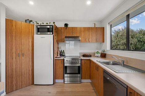 Photo of property in 48 Antimony Crescent, Cromwell, 9310