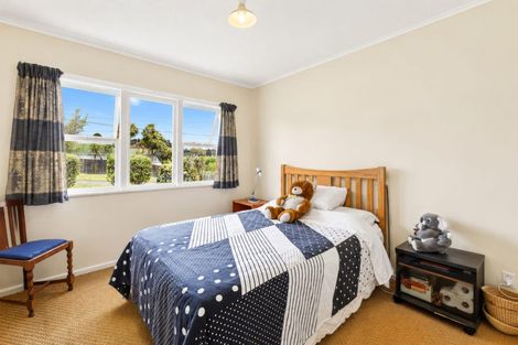 Photo of property in 15 St James Avenue, Helensville, 0800