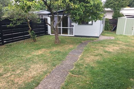 Photo of property in 49 Fitzroy Avenue, Fitzroy, Hamilton, 3206