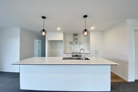 Photo of property in 25 Sarah Nicholls Street, Belfast, Christchurch, 8051