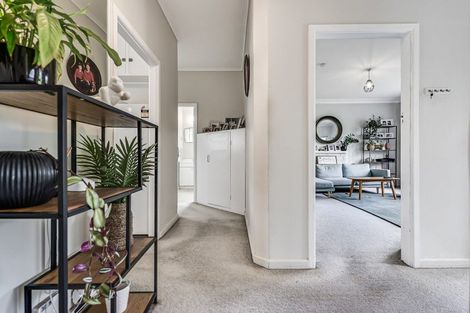 Photo of property in 6 Bell Street, Hamilton East, Hamilton, 3216