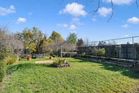 Photo of property in 43 Titoki Street, Lansdowne, Masterton, 5810