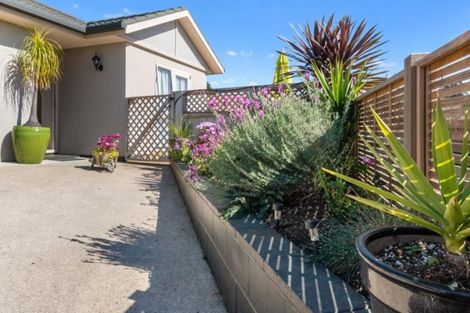 Photo of property in 19 Lansdowne Road, Katikati, 3129