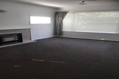 Photo of property in 11 Strathmore Place, Awapuni, Palmerston North, 4412