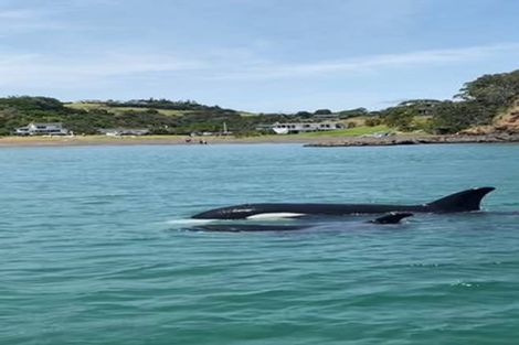 Photo of property in 69 Pacific Bay Road, Tutukaka, Whangarei, 0173