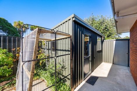 Photo of property in 105a Maxwell Road, Blenheim, 7201