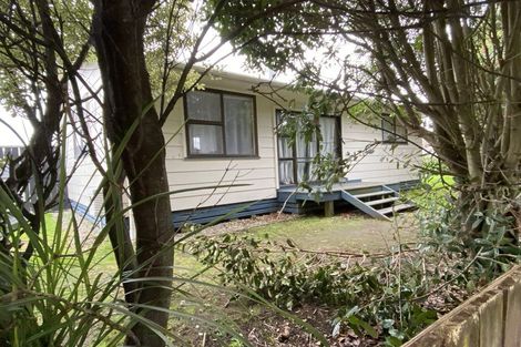 Photo of property in 20 Hamua Place, Waitara, 4320