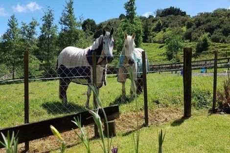 Photo of property in 91 Grahamtown Road, Onerahi, Whangarei, 0174