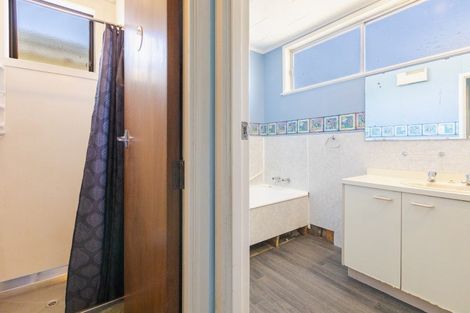 Photo of property in 902 Dufferin Street, Akina, Hastings, 4122