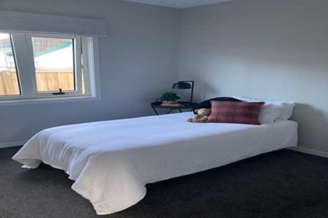 Photo of property in 8a Cuba Street, Takaro, Palmerston North, 4412