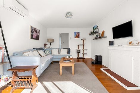 Photo of property in 47 Paul Crescent, Fairfield, Hamilton, 3214