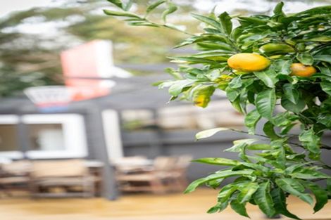 Photo of property in 64 Wallace Terrace, Te Awamutu, 3800