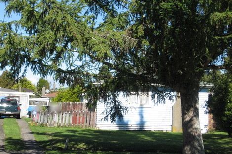Photo of property in 163 Balmoral Drive, Tokoroa, 3420