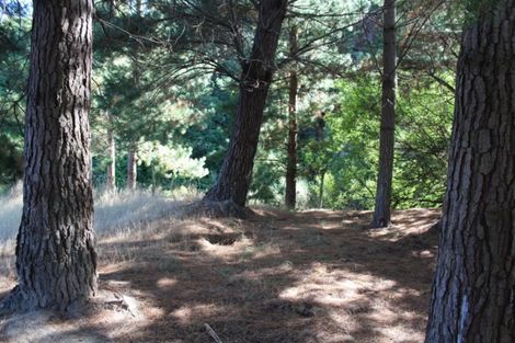 Photo of property in 20 Louise Street, Ormondville, Dannevirke, 4977