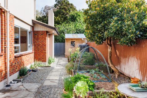 Photo of property in 56 Karina Terrace, Roslyn, Palmerston North, 4414