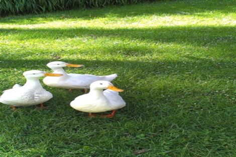 Photo of property in 66 Poulters Road, Leith Valley, Dunedin, 9010