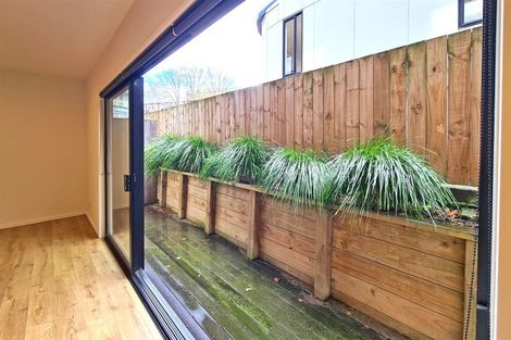 Photo of property in 3/125 Tristram Street, Hamilton Central, Hamilton, 3204