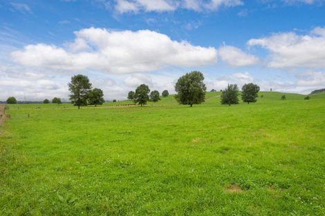 Photo of property in 2802 Arapuni Road, Pukeatua, 3880