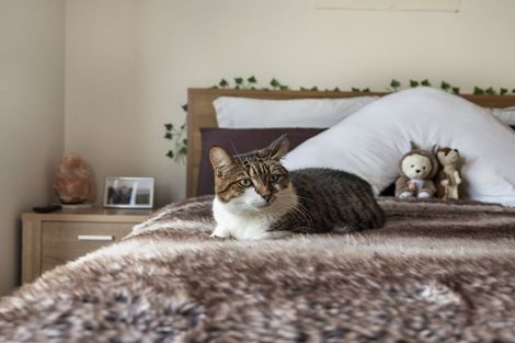 Photo of property in 26 Bathurst Crescent, Pokeno, 2402