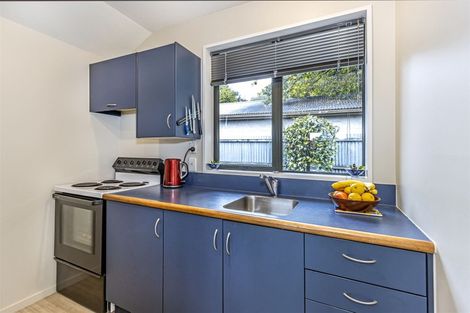 Photo of property in 38a Ensors Road, Opawa, Christchurch, 8023