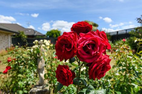 Photo of property in 17 Brookside Close, Highbury, Palmerston North, 4412