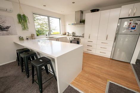 Photo of property in 66a Mailer Street, Mornington, Dunedin, 9011