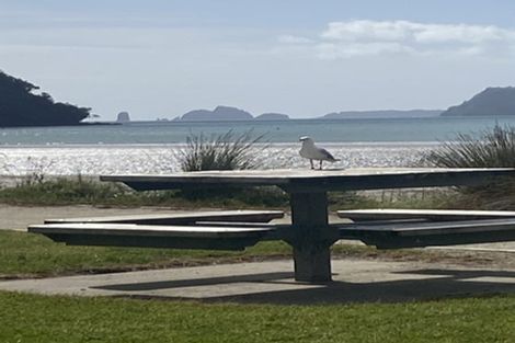 Photo of property in 27/1 Centennial Drive, Whitianga, 3510