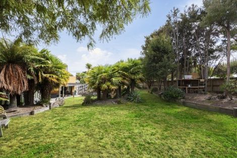 Photo of property in 6 Astelia Way, Waipahihi, Taupo, 3330