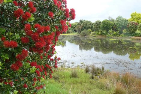 Photo of property in 113 Rushgreen Avenue, Pahurehure, Papakura, 2113