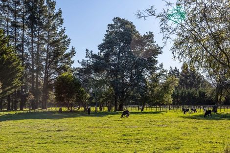 Photo of property in 161 Upper Manaia Road, Upper Plain, Masterton, 5888