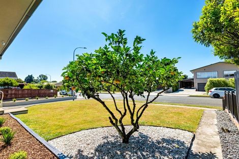 Photo of property in 19 Norwich Street, Stoke, Nelson, 7011