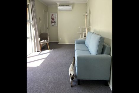 Photo of property in 60a Government Road, Raglan, 3225